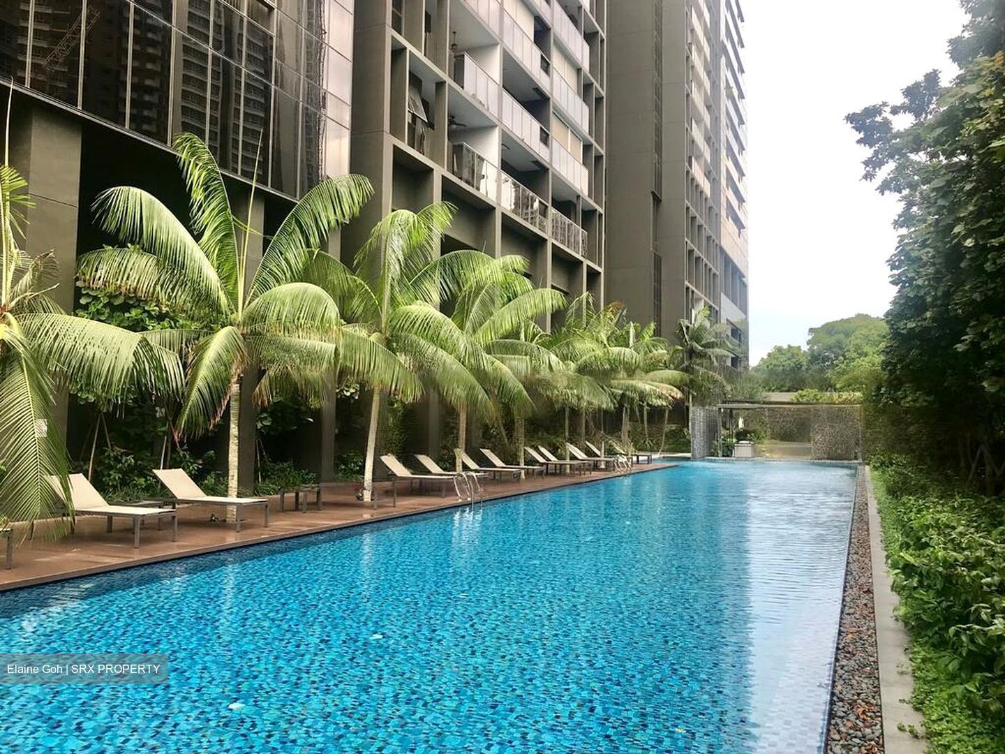 Commonwealth Towers (D3), Condominium #470356931